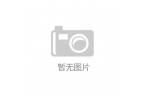 1月29亮相成都房车展这工艺绝了电子pg